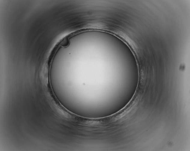 X0000102861123200808251220