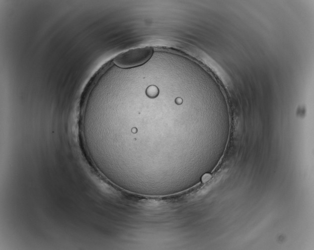 X0000102861124200808251220