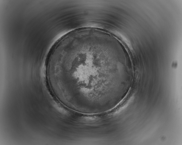 X0000102861125200808251220