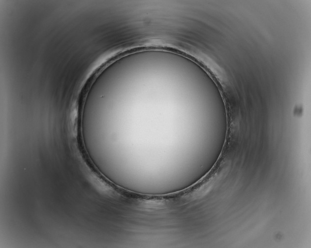 X0000102861126200808251220