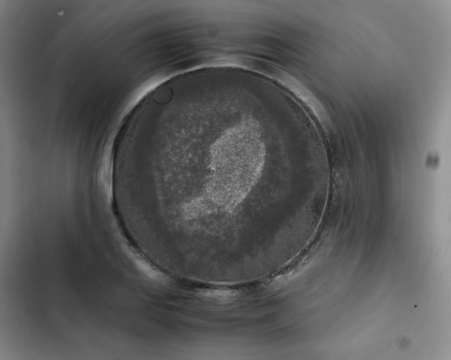 X0000102861127200808251220