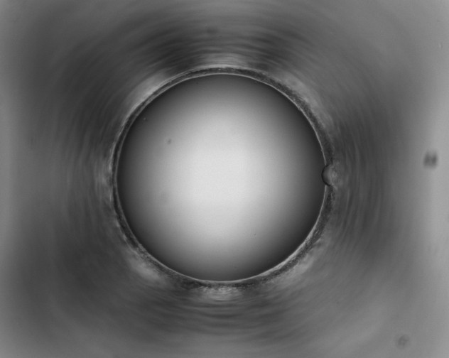 X0000102861129200808251220