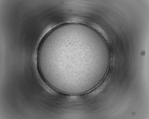 X0000102861130200808251220