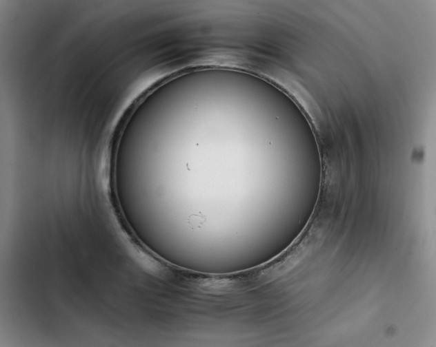 X0000102861131200808251220