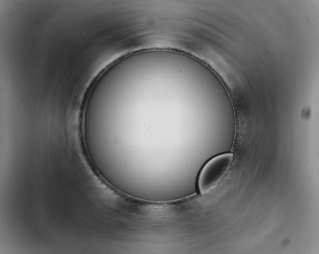 X0000102861134200808251220