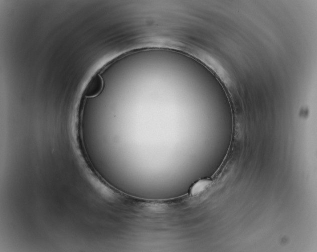 X0000102861136200808251220