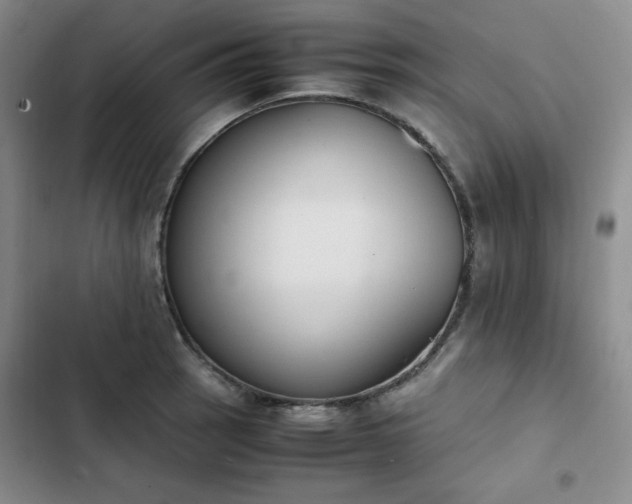 X0000102861137200808251220