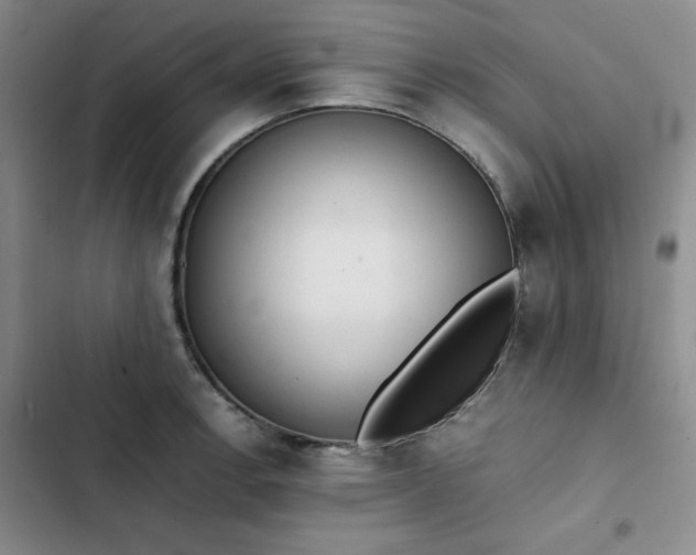 X0000102861138200808251220