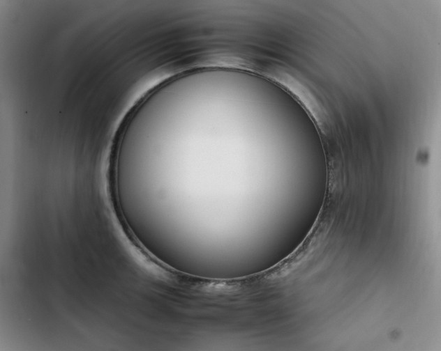 X0000102861139200808251220