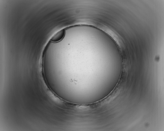 X0000102861140200808251220