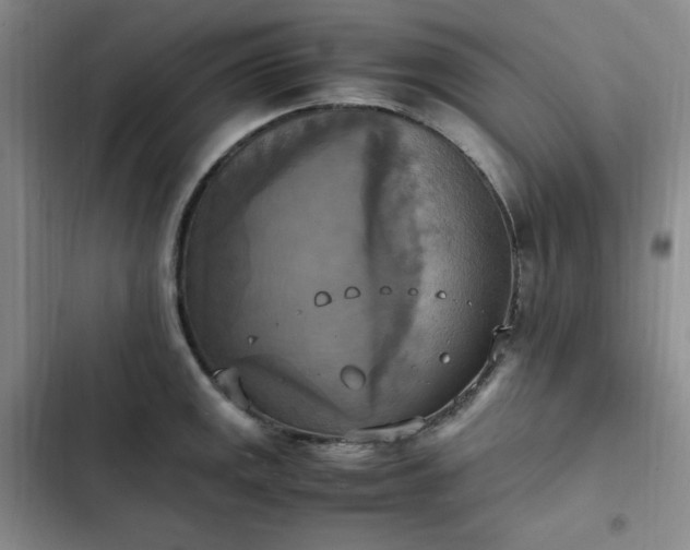 X0000102861141200808251220