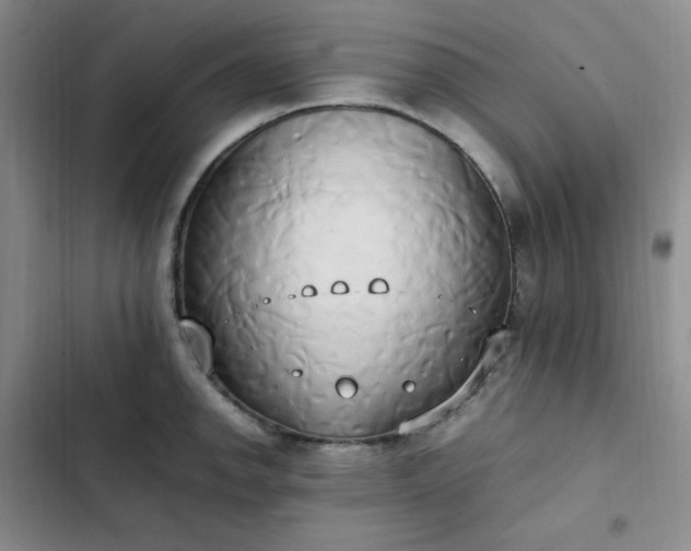 X0000102861142200808251220