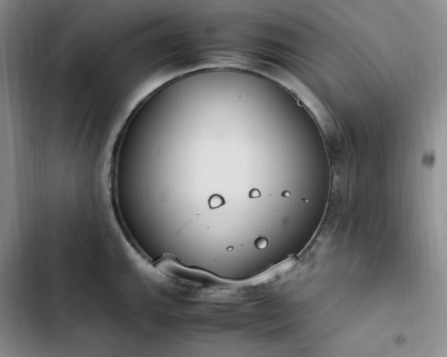 X0000102861143200808251220