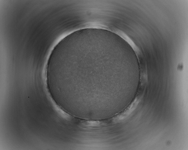 X0000102861144200808251220