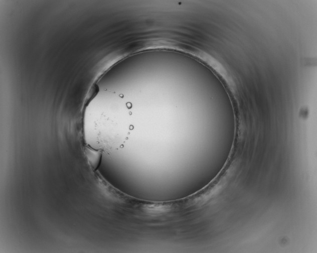 X0000102861145200808251220