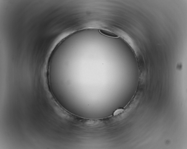 X0000102861146200808251220