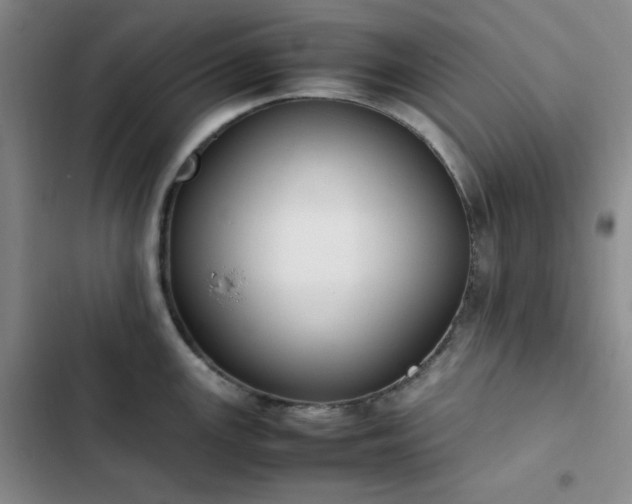 X0000102861147200808251220