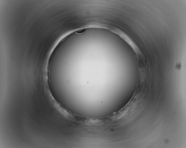 X0000102861148200808251220