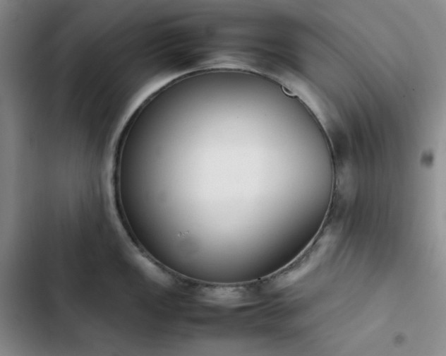 X0000102861149200808251220