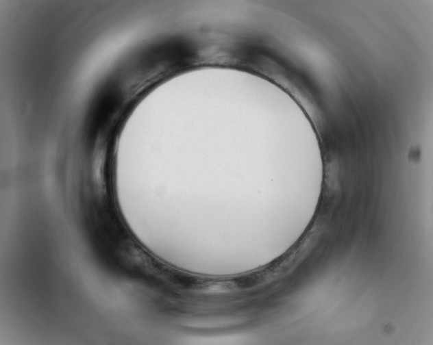 X0000102861150200808251220