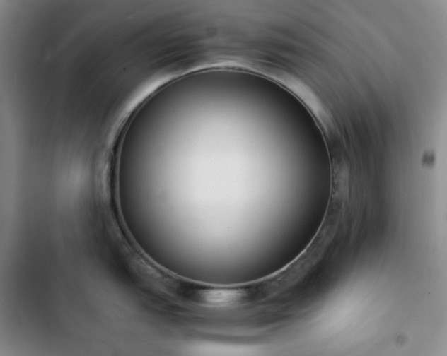 X0000102861151200808251220