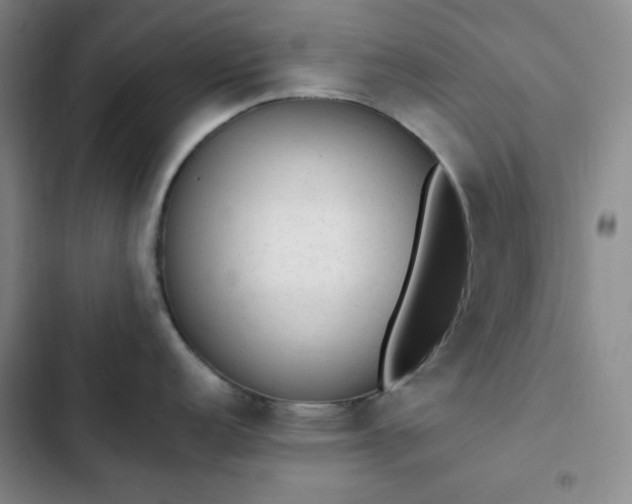 X0000102861152200808251220