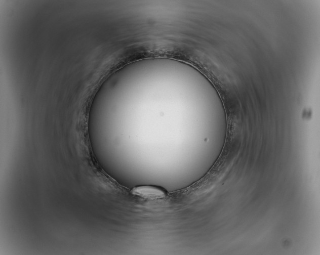 X0000102861153200808251219