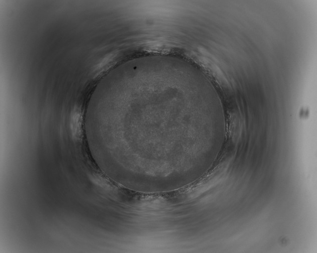 X0000102861154200808251219