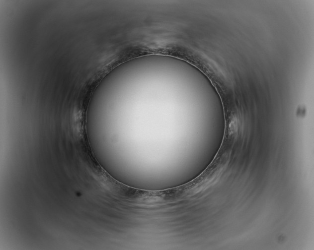 X0000102861156200808251219