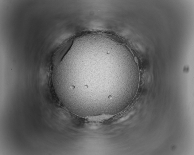 X0000102861157200808251219