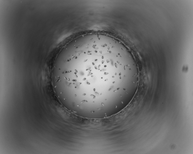 X0000102861158200808251219