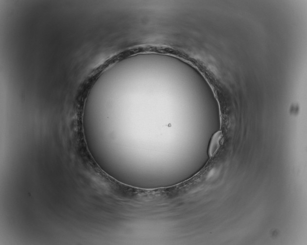 X0000102861159200808251219