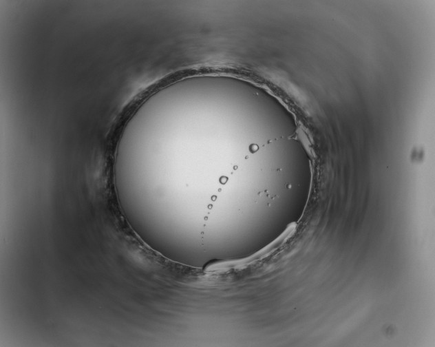 X0000102861160200808251219