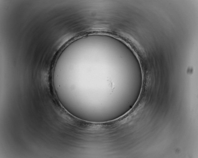 X0000102861162200808251219