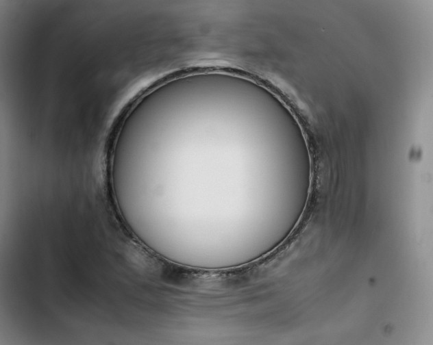 X0000102861167200808251219