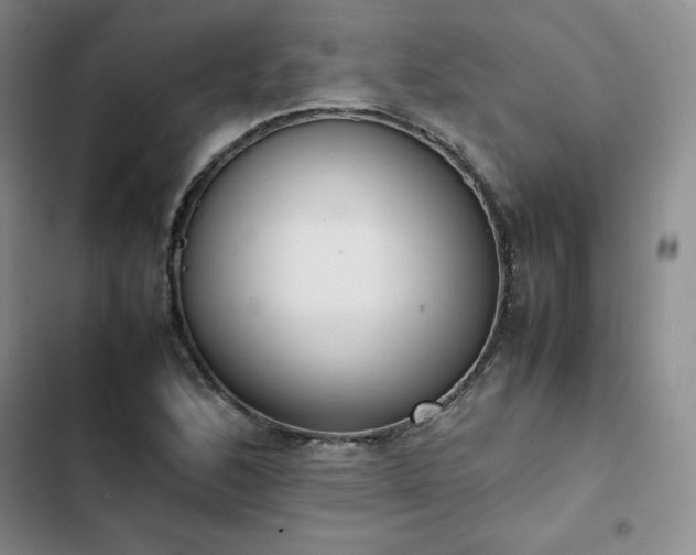 X0000102861168200808251219