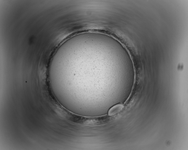 X0000102861169200808251219