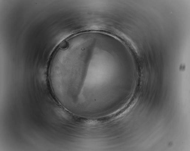 X0000102861170200808251219