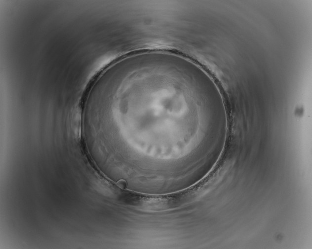 X0000102861171200808251219