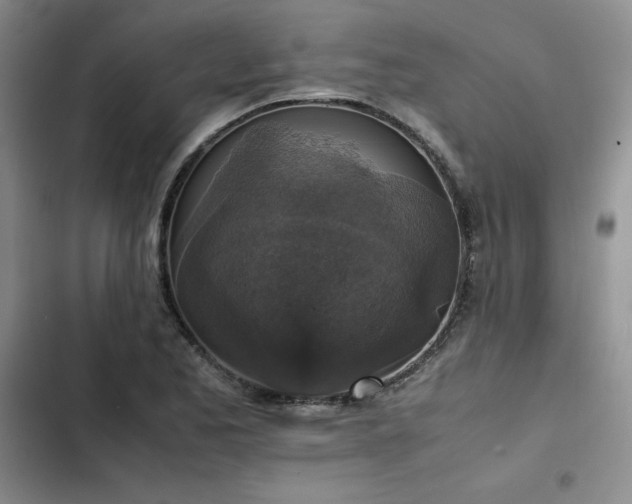 X0000102861173200808251219