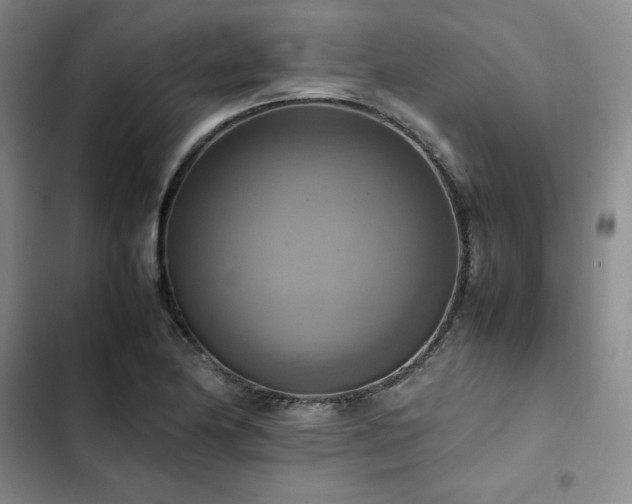 X0000102861174200808251219