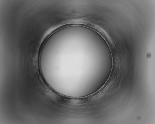 X0000102861176200808251219