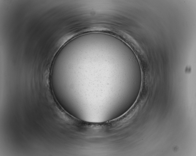 X0000102861177200808251219