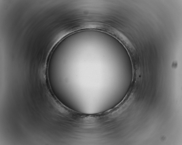 X0000102861178200808251219