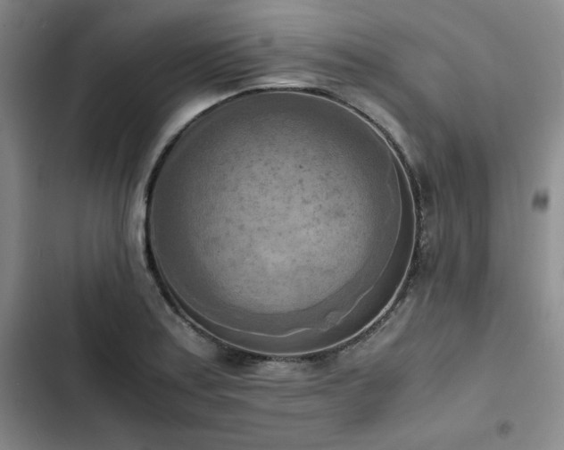 X0000102861179200808251219