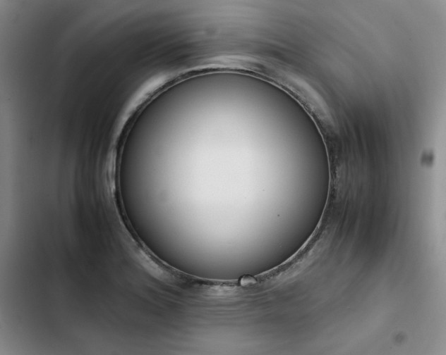 X0000102861180200808251219