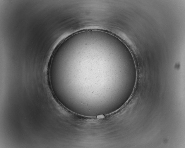 X0000102861181200808251219