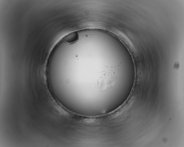 X0000102861182200808251219