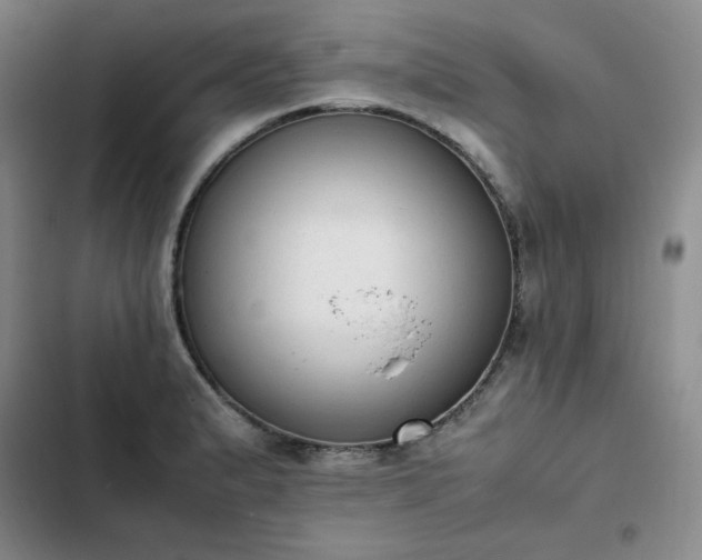 X0000102861183200808251219