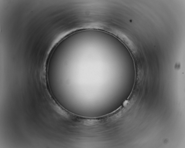 X0000102861184200808251219